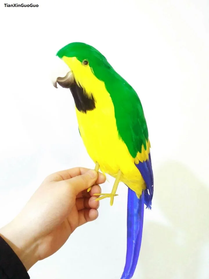 

large 42cm parrot craft beautiful feathers parrot bird hard model prop,home garden decoration gift s1396