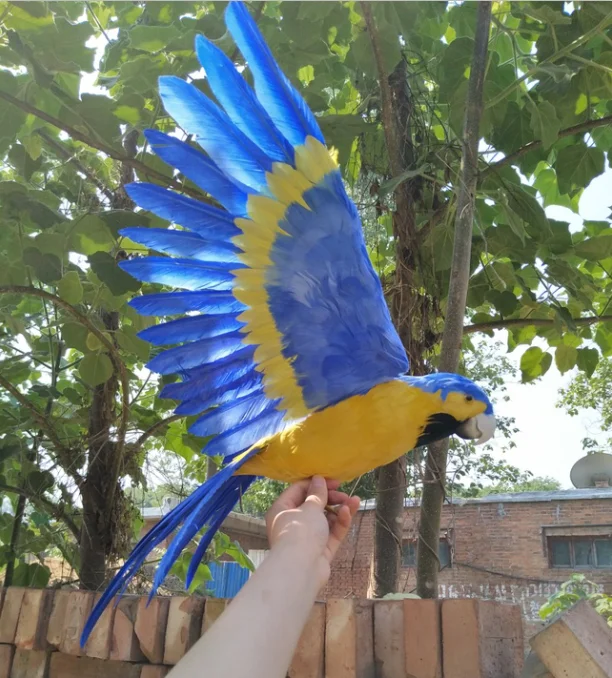 

beautiful blue feathers parrot spreading wings 45x60cm model artificial bird handicraft prop,home garden decoration gift p1927