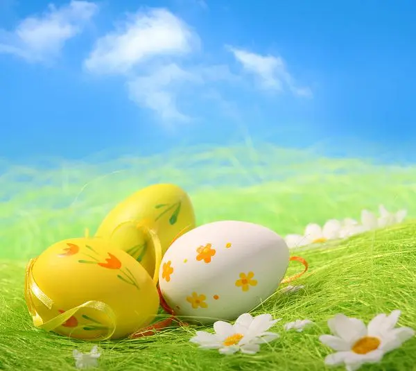 VinylBDS 220X150CM Easter photography background  New arrival Sky Egg Flower photo studio Easter day