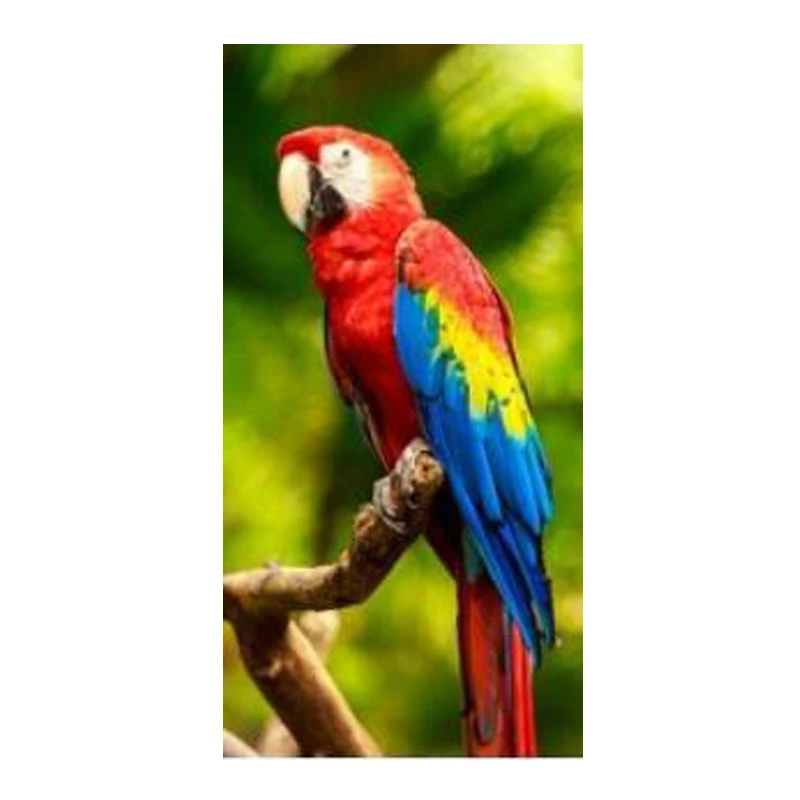 

Beautiful Tropical Scarlet Macaw Parrot Large Sport Sauna Towels for Adult Colorful Parrot Bird Portrait Shower Hand Towel Gift