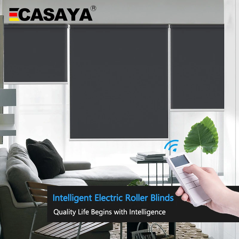 CASAYA Customized Electric Motorized Blinds, Daylight and Blackout, Rechargeable Tubular Motor, Smart Blinds for Home and Office