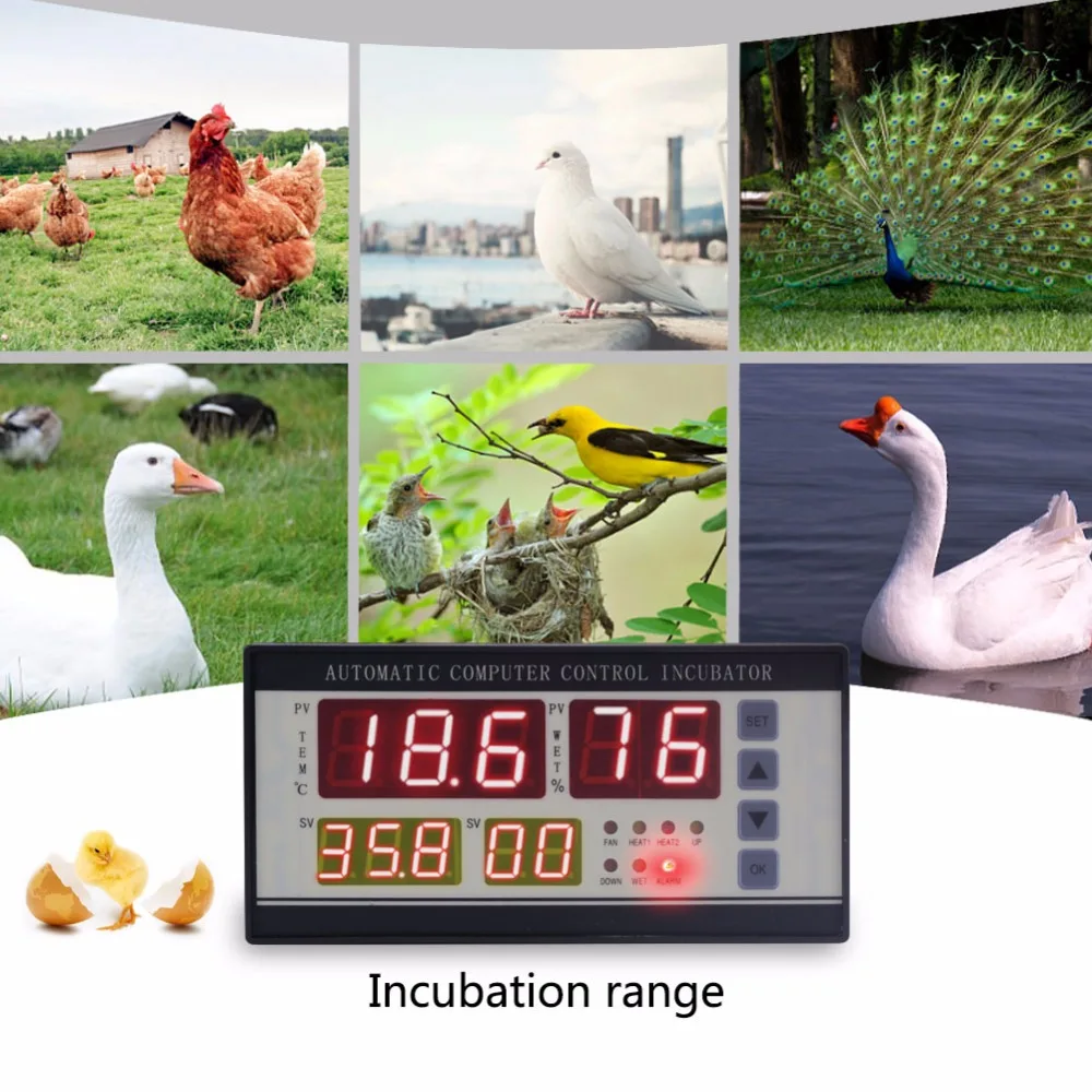XM-18 Digital automatic small egg incubator thermostat controller for humidity and temperature controlling