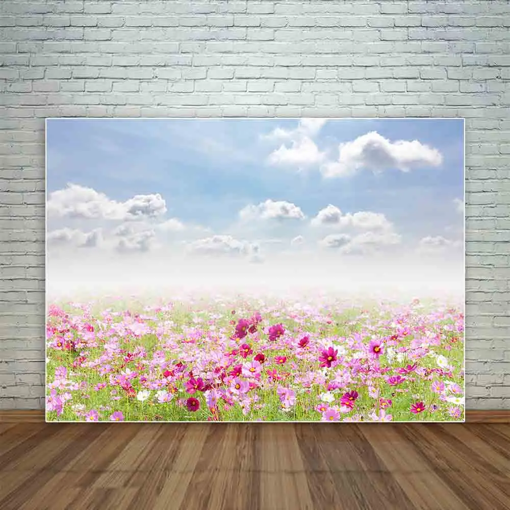 Funnytree photography backdropsunfocused cosmos flowers  sky natural Flower Sea  photocall studio funds fond studio photo