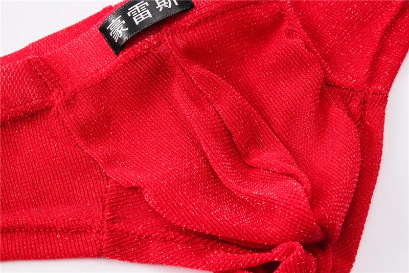 6PCS/Lot Sexy Briefs Men Underwear Transparent Net Mesh Bikini Brief Underwear Bulge Underpants Waist Briefs Sexy Lingerie Gift