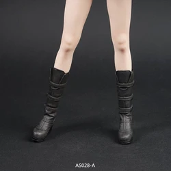 1/6 Scale AS028 Black and brown Middle Combat boots Shoes for 12'' Removable Feet female Bodies