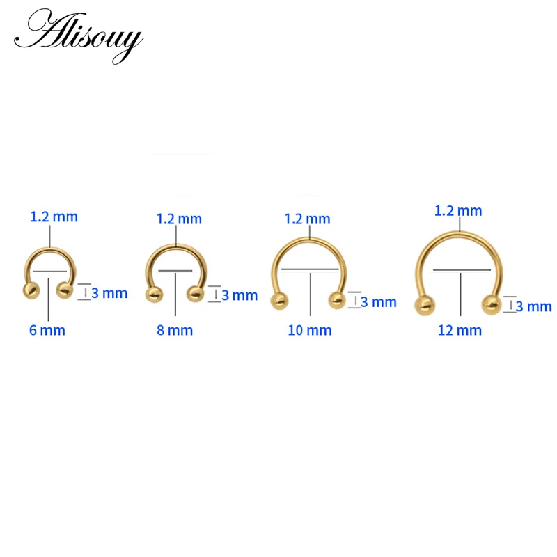 Alisouy 1PC 16G Nose Septum Ring Lip Nipple Eyebrow Lobe Rings Hoop Horseshoe Ear Piercings for Women Men Steel Body Jewelry