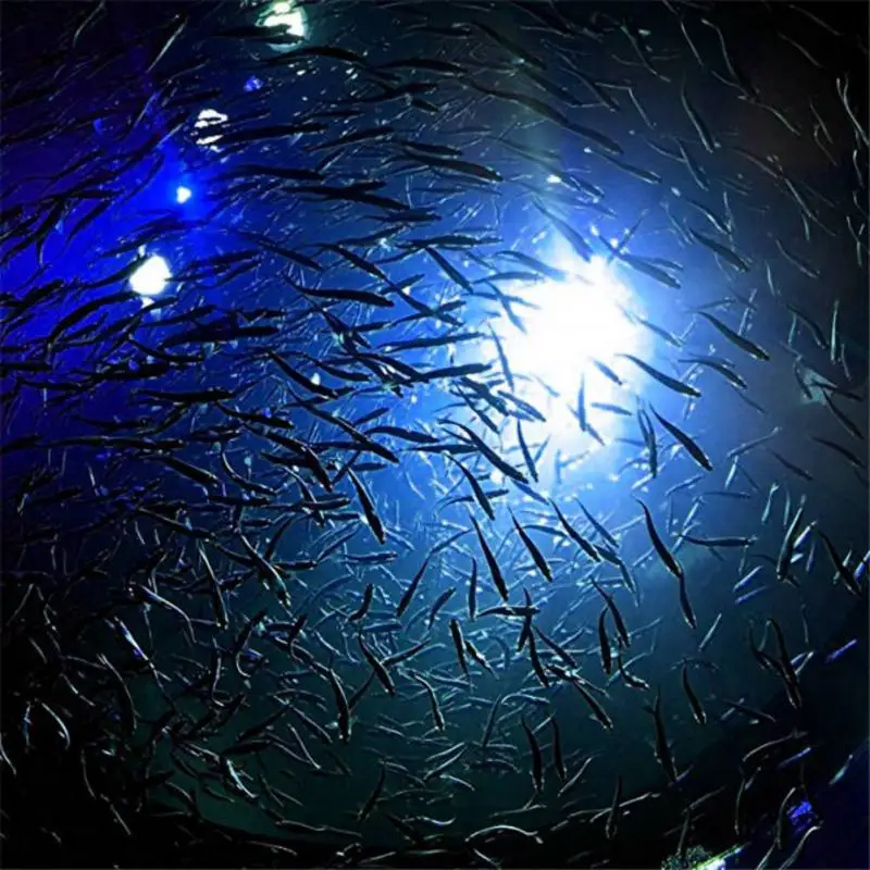 Type Fish Luring Light Underwater Fish Attracting Lamp Fishing Lure LED Flashing Light Squid Bait 1 Pcs