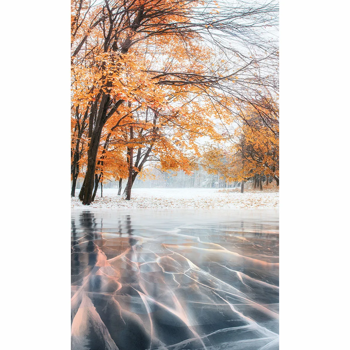 Allenjoy hintergrund für foto studio herbst baum natürliche gefrorene fluss fotografie hintergrund für ein foto schießen gedruckt