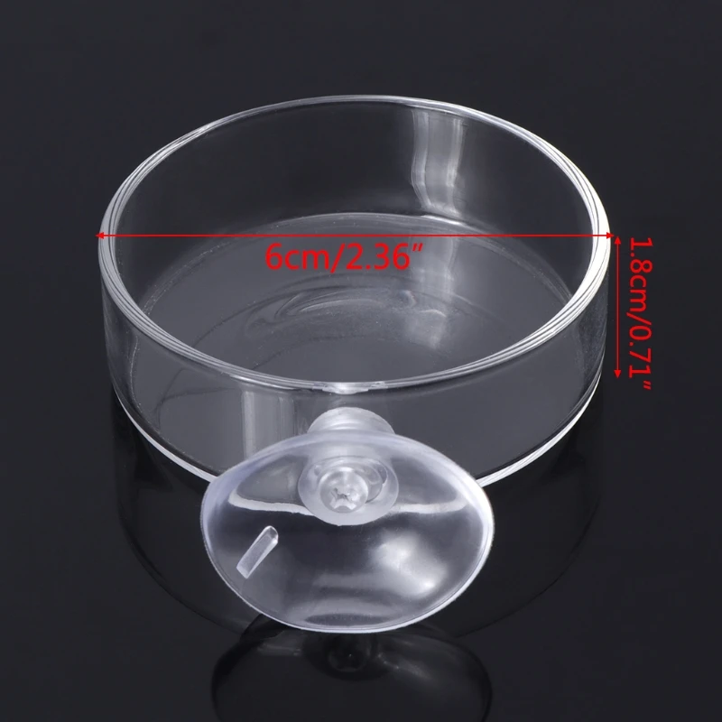 

New Arrival Fish Tank Feeder Aquarium Shrimp Glass Feeding Bowl Clear Dish Tray