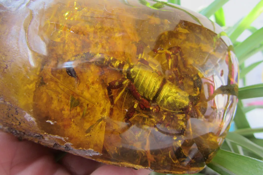 480.5g Rare Decorated Pure Handwork Amber imitations  Scorpion Inlay Big Statue