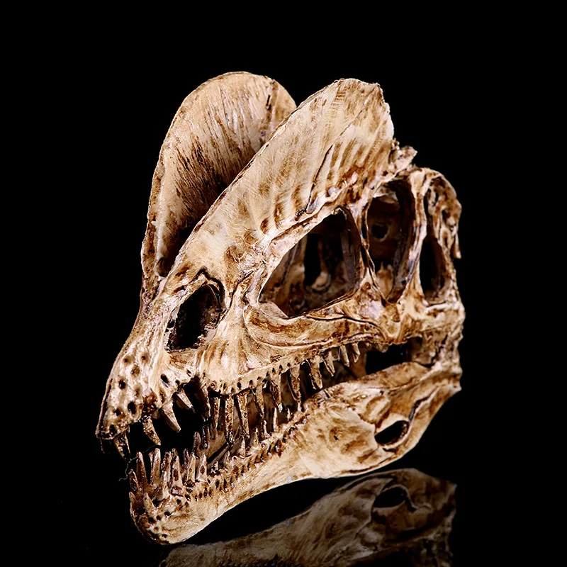 Dilophosaurus Ryrannosaurus Resin Dinosaur Skull Model Collection Size:20*8*12.5cm Handmade Antique Imitation Decoration