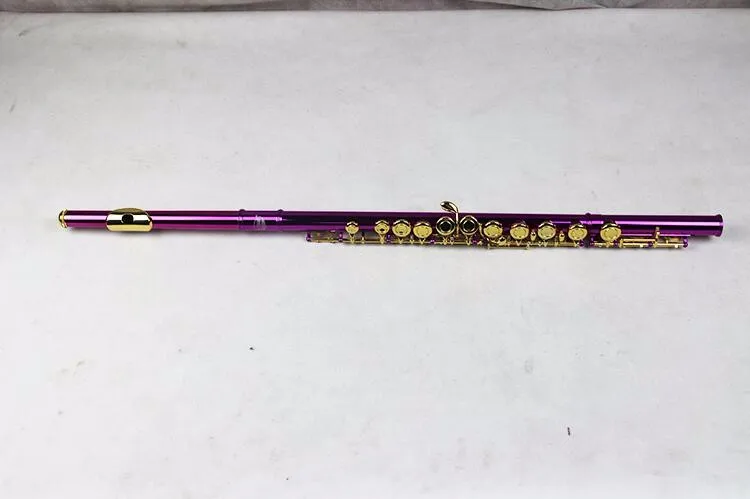 

New Metal Purple Flute Playing Flute C Key FL-510R Flauta Detachable OVES Gold Plated Chinese Folk Instrument Brand Flute