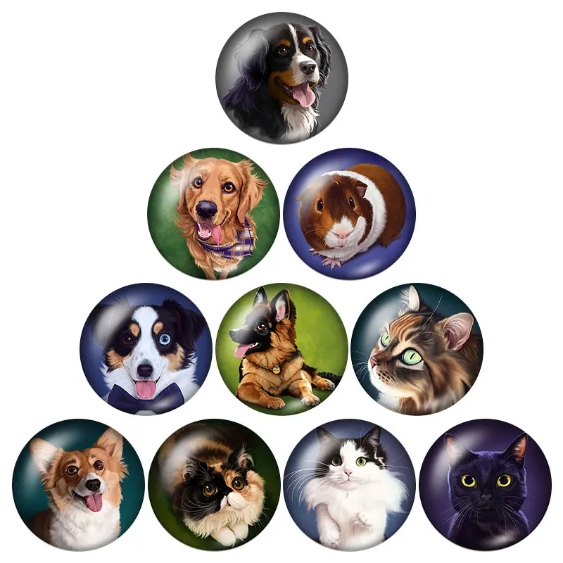 

New DogsCats 10pcsmixed 12mm/16mm/18mm/25mm Round photo glass cabochon demo flat back Making findings ZB0611
