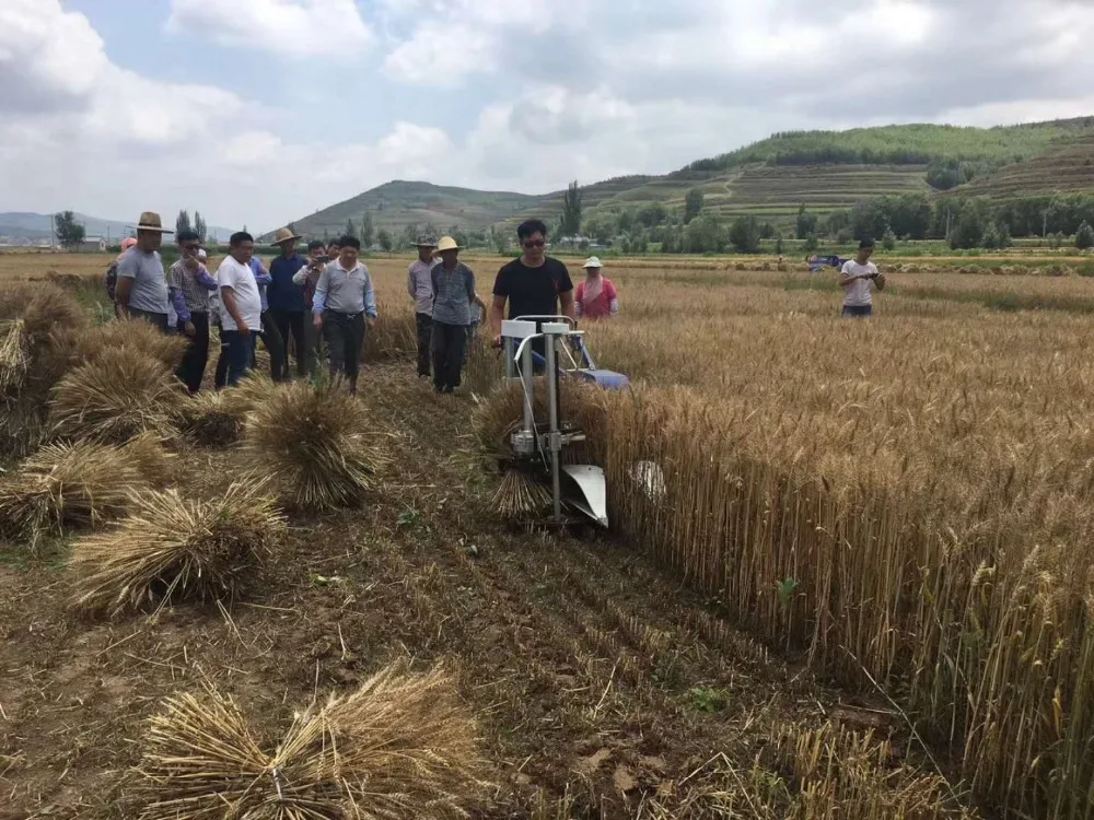 Mini machine à couper le riz et le riz, bon marché