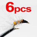 6pcs orange