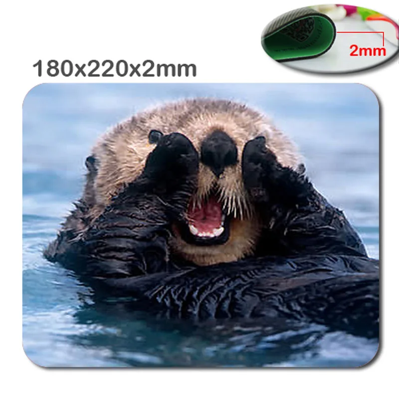 

California Sea Otter Personalized Style Custom Oblong Gaming Mousepad Standard Size 220mm*180mm*2mm Mouse Pad