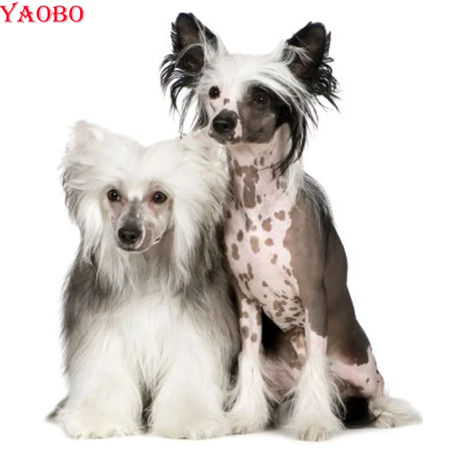 Diy 5d Diamond Painting Cross Stitch Animal Chinese Crested Dog Diamond Embroidery Mosaic Kits Handmade Hobbies And Crafts