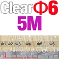 5m Size 6