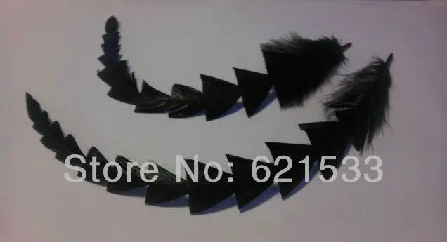 Wholesale!50Pcs/Lot 18-25cm Feather Stripped Coque Fish Bone Bunch - Black - Craft Millinery Fly Fishing