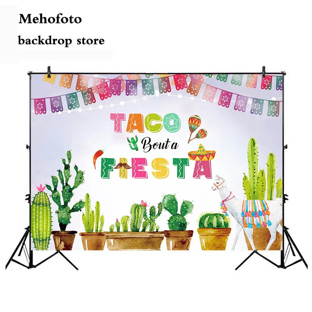 

Fiesta Mexico Festival Photography Backdrop Carnival Photo Background Booth Studio Cactus Plants Backdrops Supplies 964