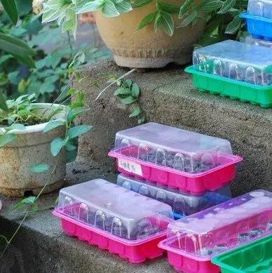 3 block Peat Pellets Seed Starting Plugs Starter Pallet Seedling Soil Block Professional Easy To Use 3*1CM