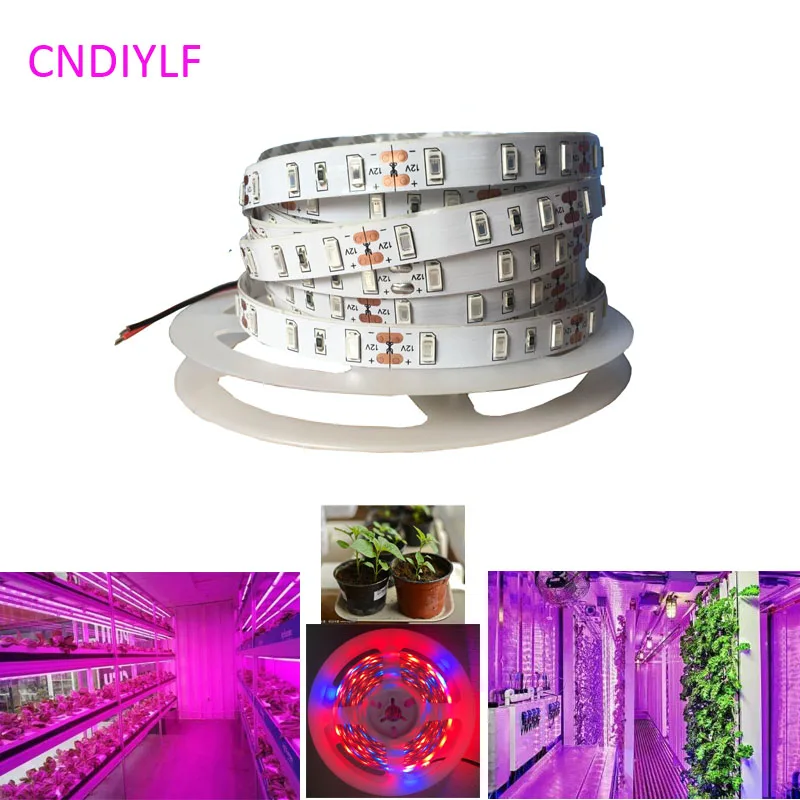 New 5730/5630 Plant Grow SMD LED Strip Light 5m/20W 12V 300LED 5R1B Non-Waterproof Fast Shipping