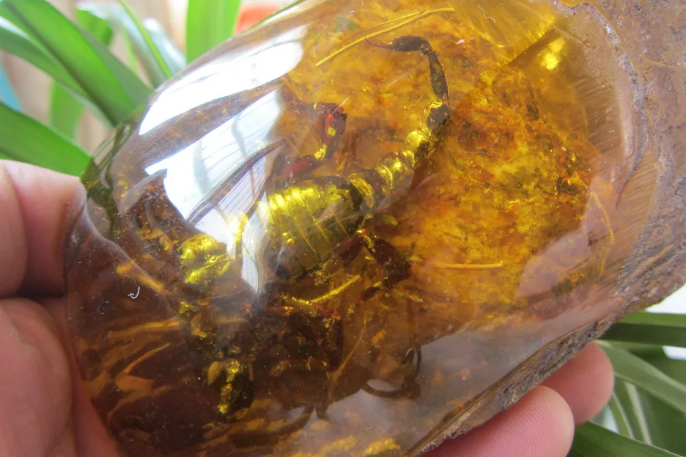 480.5g Rare Decorated Pure Handwork Amber imitations  Scorpion Inlay Big Statue