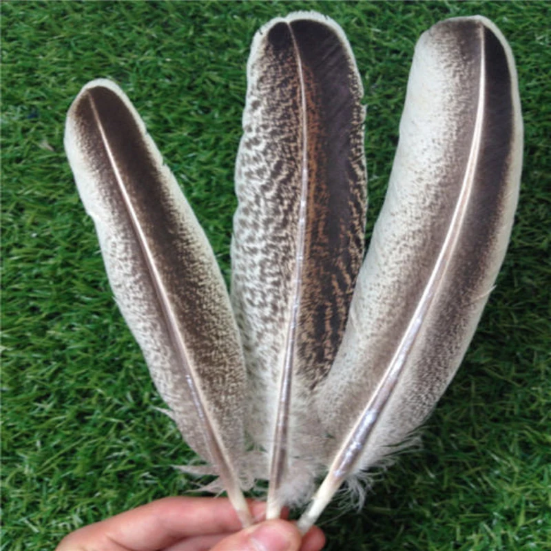 Wholesale! 100pcs pretty natural pheasant feathers 25-30cm/10-12inch