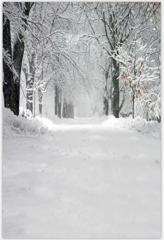 8x12FT Custom Background Snow Winter Trees Road Snowy Branch Passage Path Photography Studio Backdrop Digital Vinyl 10x10 10x20