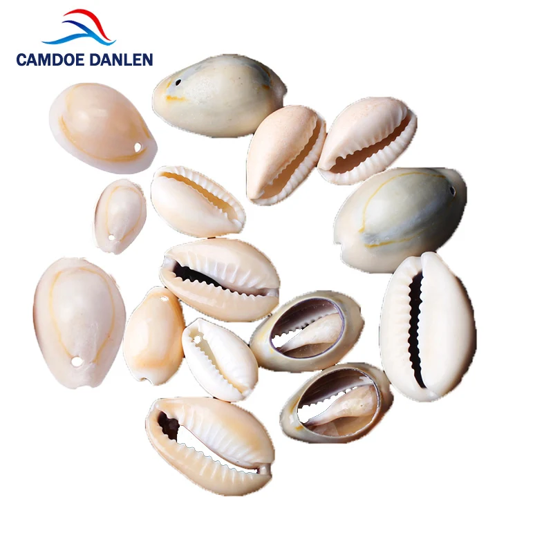 CAMDOE DANLEN Natural Shell Beads 50pcs 13-25mm White Cowrie Shells Fit Diy Women Bracelet Necklace Jewelry Making Accessories