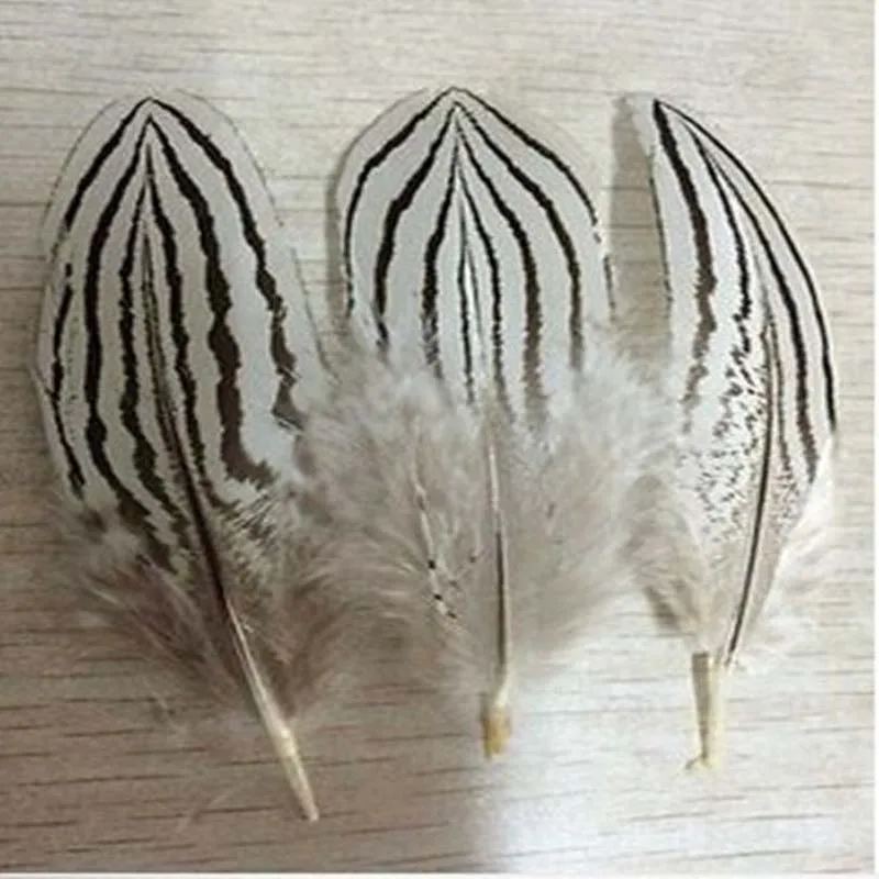 Wholesale 10 PCS beautiful Silver pheasant tail feathers 10-15cm /4-6inches