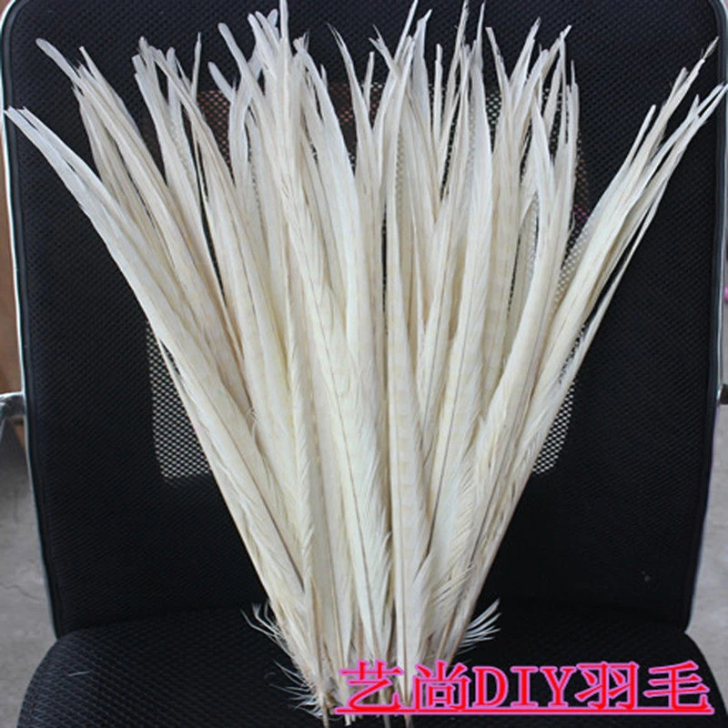 Wholesale,50 pcs natural white pheasant tail feathers of 50-55cm / 20-22 inch