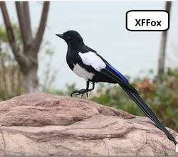 big simulation Magpie bird model foam&furs real life Magpie bird gift about 45cm xf2130
