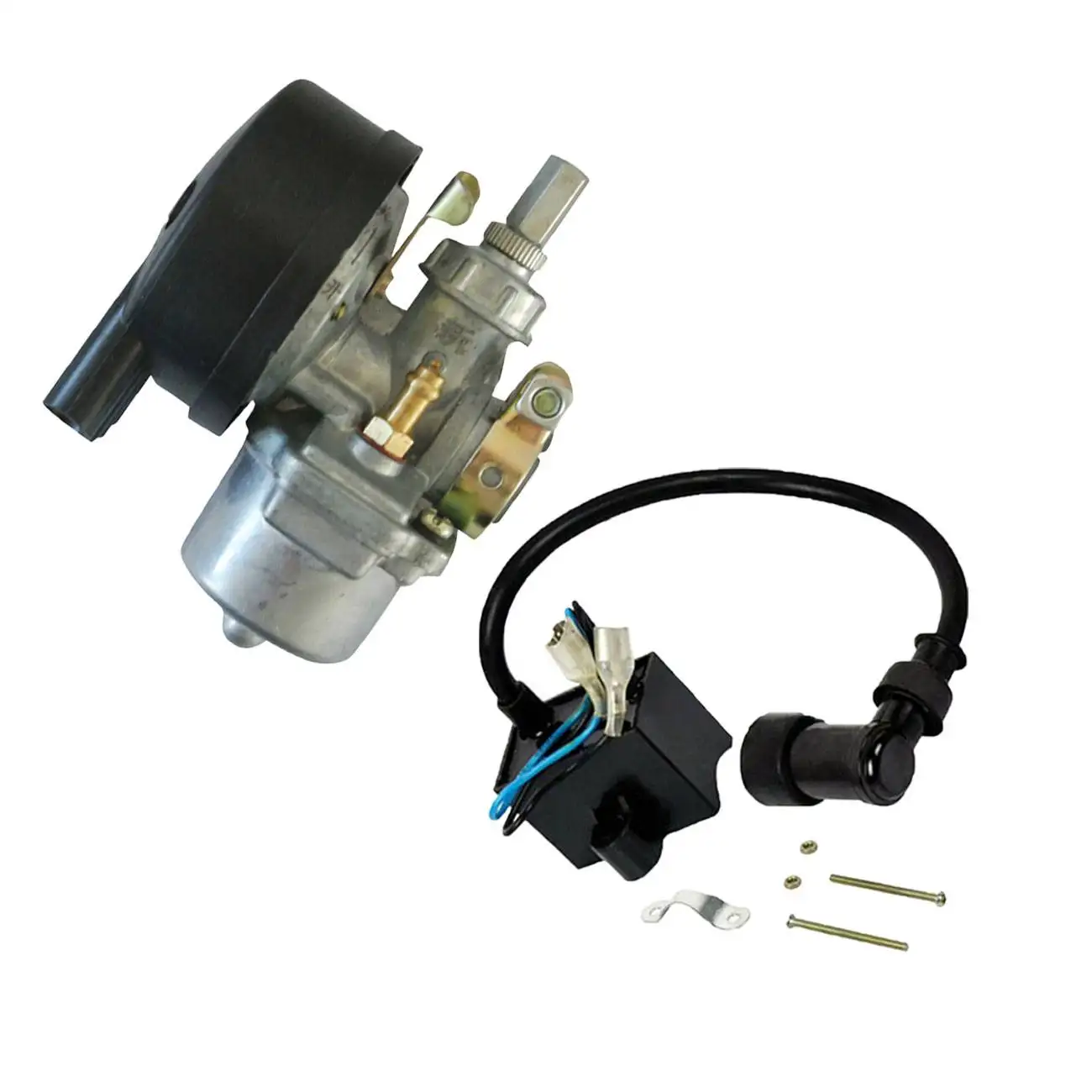 Carburetor CDI Ignition Coil  Fits For 66cc 80cc 2 Stroke Motorized Bicycle Engine