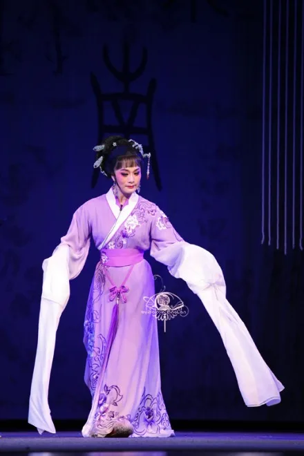 

Customized Order Chinese Traditional Famous Yue Opera The Peacock Flies to Southeast Heroine LiuLanZhi Purple Women's Costume