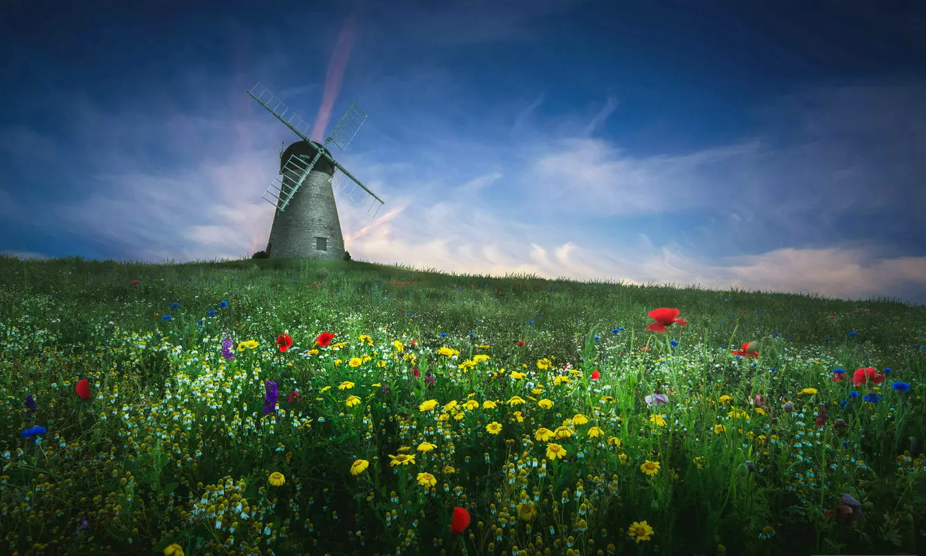 

Windmill Yellow Flower Green Grass backdrops High quality Computer print party photography backgrounds