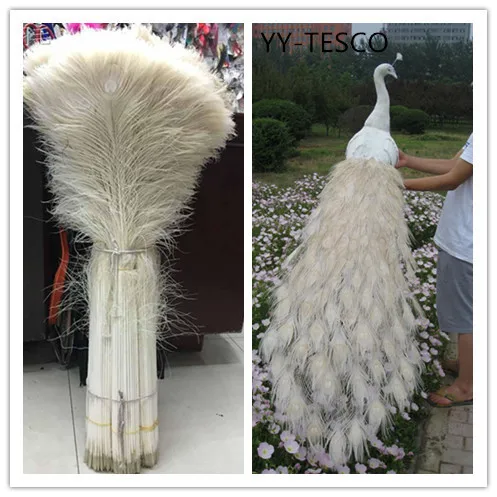 Wholesale 20pcs beautiful white peacock feather eye 70-80 cm / 28-32 inch decorative celebration stage performance diy