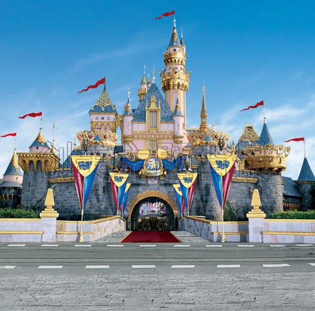 

10x10FT Princess Castle Palace Entrance Circus Tower Flags Custom Photo Studio Backdrop Background Vinyl 300cm x 300cm