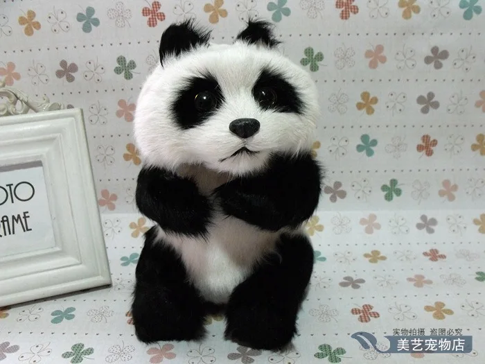 

simulation panda model,polyethylene&fur 16x14x22cm sitting panda handicraft toy home decoration Xmas gift b3850