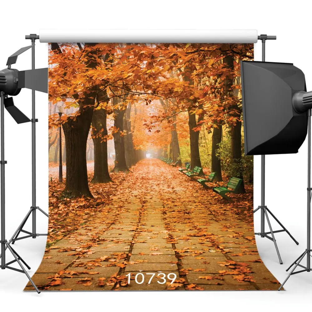 Portrait Photography Backgrounds Walking Street with Fallen Leaves Autumn Photophone Backdrops for Photo Studio Vinyl 3D