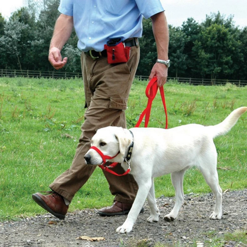 Pet Dog Padded Head Collar Dog Gentle Halter Leash Leader Stop Pulling Training Muzzles Tools