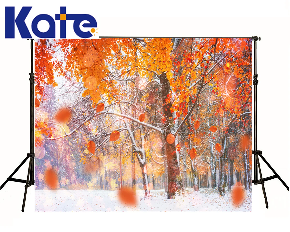 VinylBDS 7X5FT Photo Red Leaves Frozen Snow Frozen Forest Beautiful Scenery  background backdrop