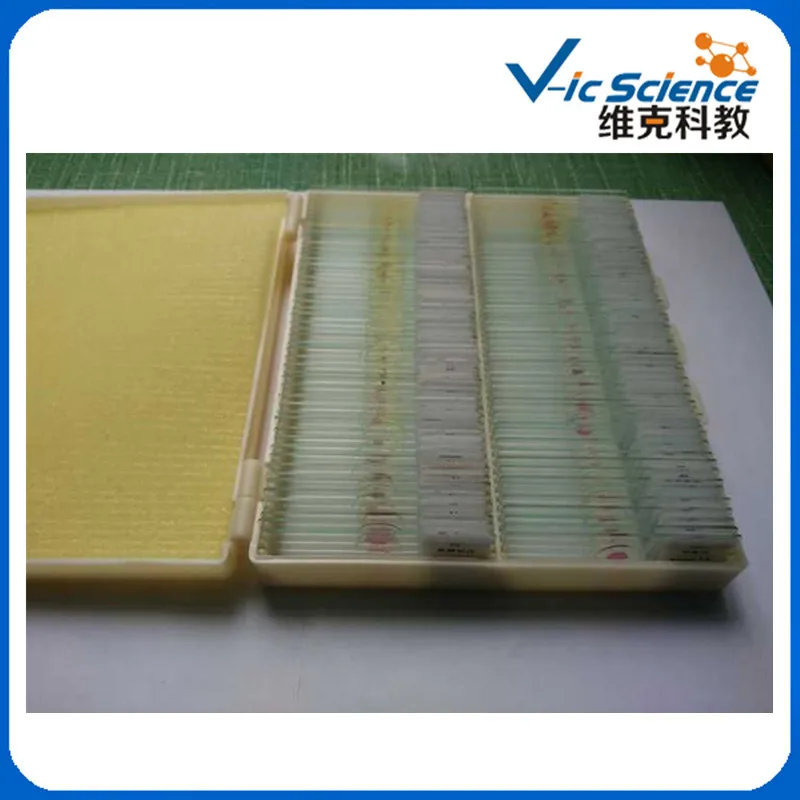 100PCS Botany Biological Prepared Slides