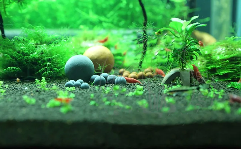Crystal Red Bee Shrimp Tank Tourmaline Mineral Ball Long Time Effect Slow Release