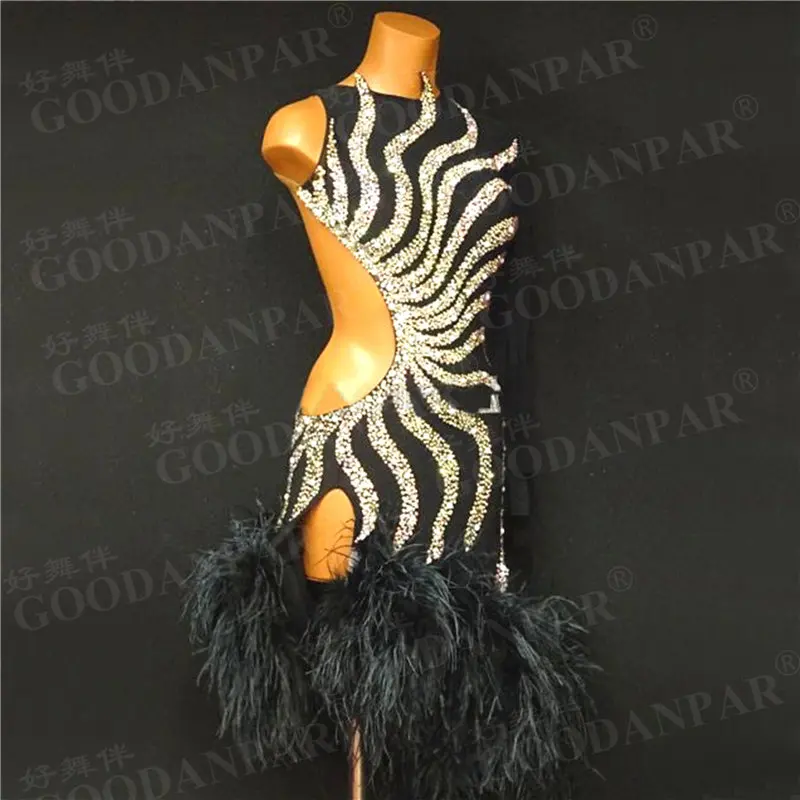 

GOODANPAR Sexy Feather Standard Dress Latin Dance Wear Woman Girls Costume Sleeveless Samba Rumba Salsa Competition Clothes