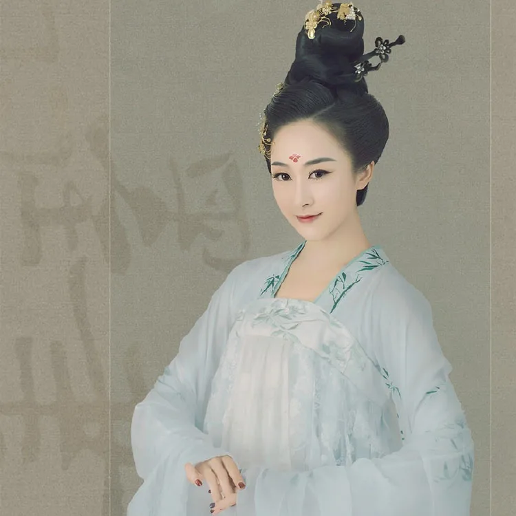 

Bai Yu Mo Hua Bamboo Chiffon Costume Hanfu Tang Princess High Waist Ru Qun for Photo House or Stage Performance Costume