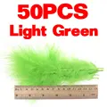 Verde Claro 50 Piezas