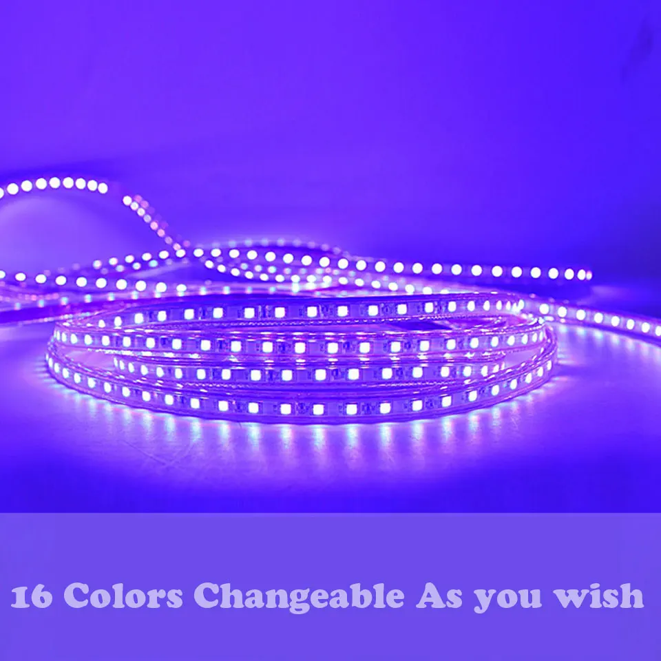 Imagem -03 - Impermeável Led Neon Light Strip com Controle Remoto ir Rgb Ip65 5m 6m 7m 8m 9m 10m 11m 12m 13m