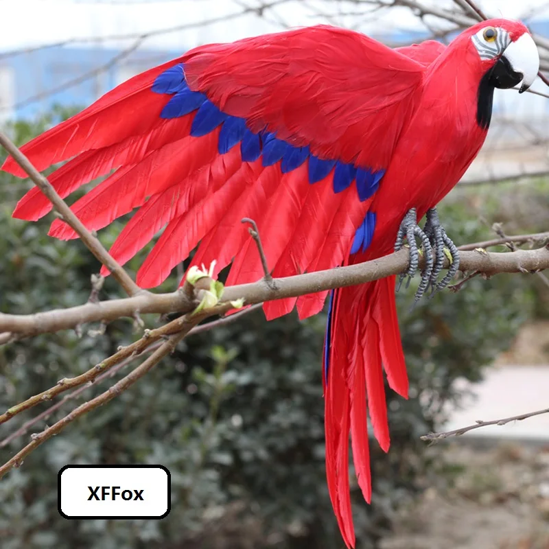 big simulation red parrot model foam&feather real life wings parrot bird doll gift about 45x60cm xf0987