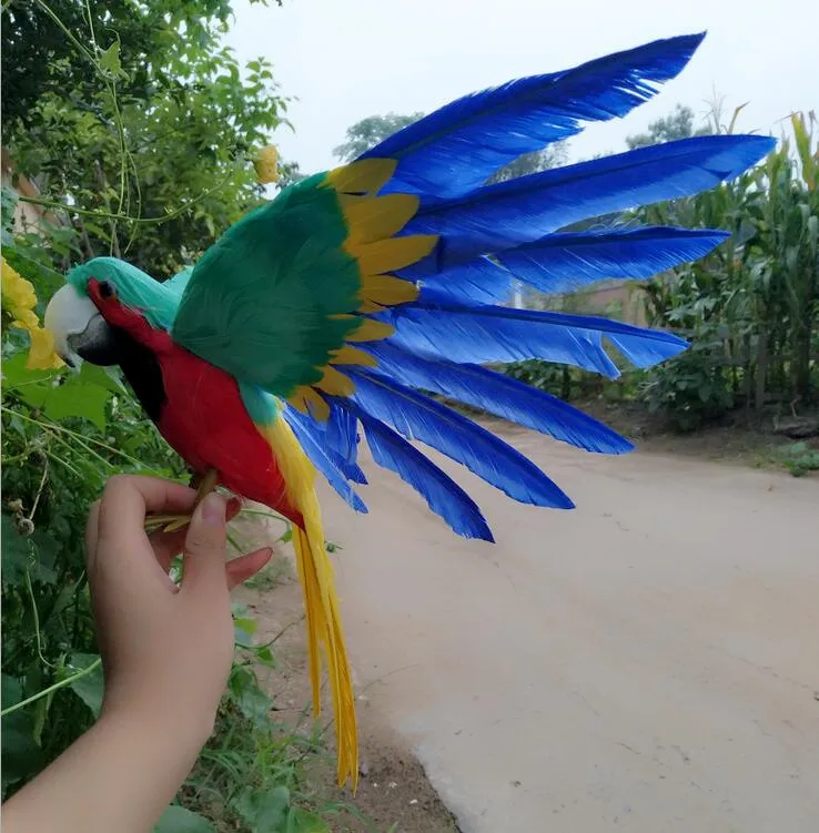 large 32x45cm colourful feathers parrot bird hard model polyethylene&feathers spreading wings parrot decoration gift s2977